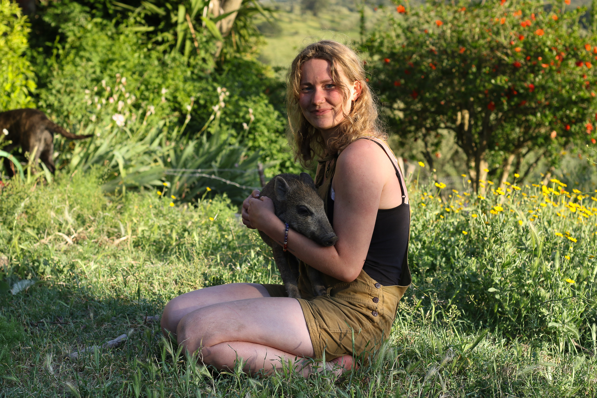 Wildlife Oasis Azienda Agricola Zingherina